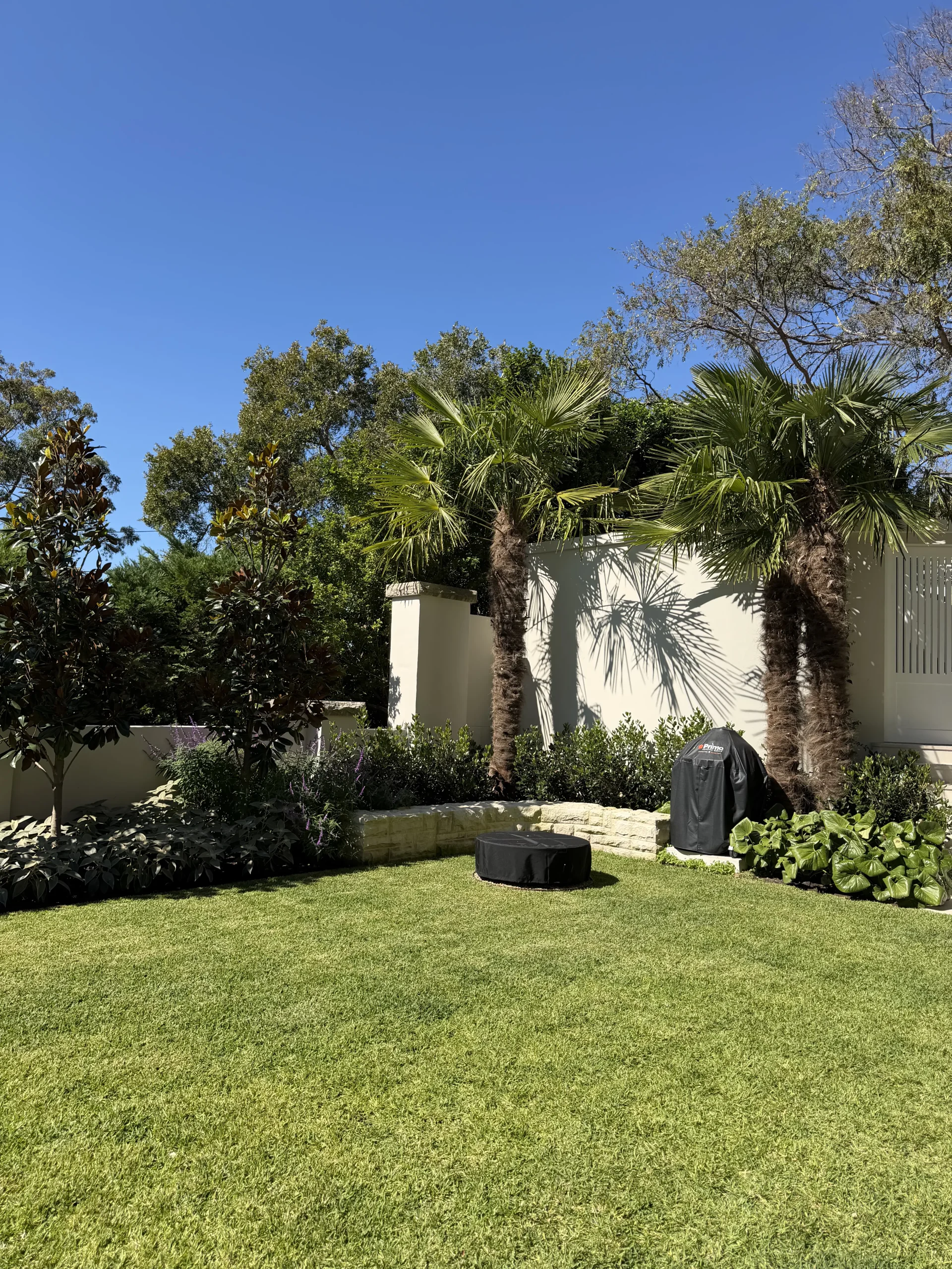 Natural stone paving surrounding a Sydney backyard pool