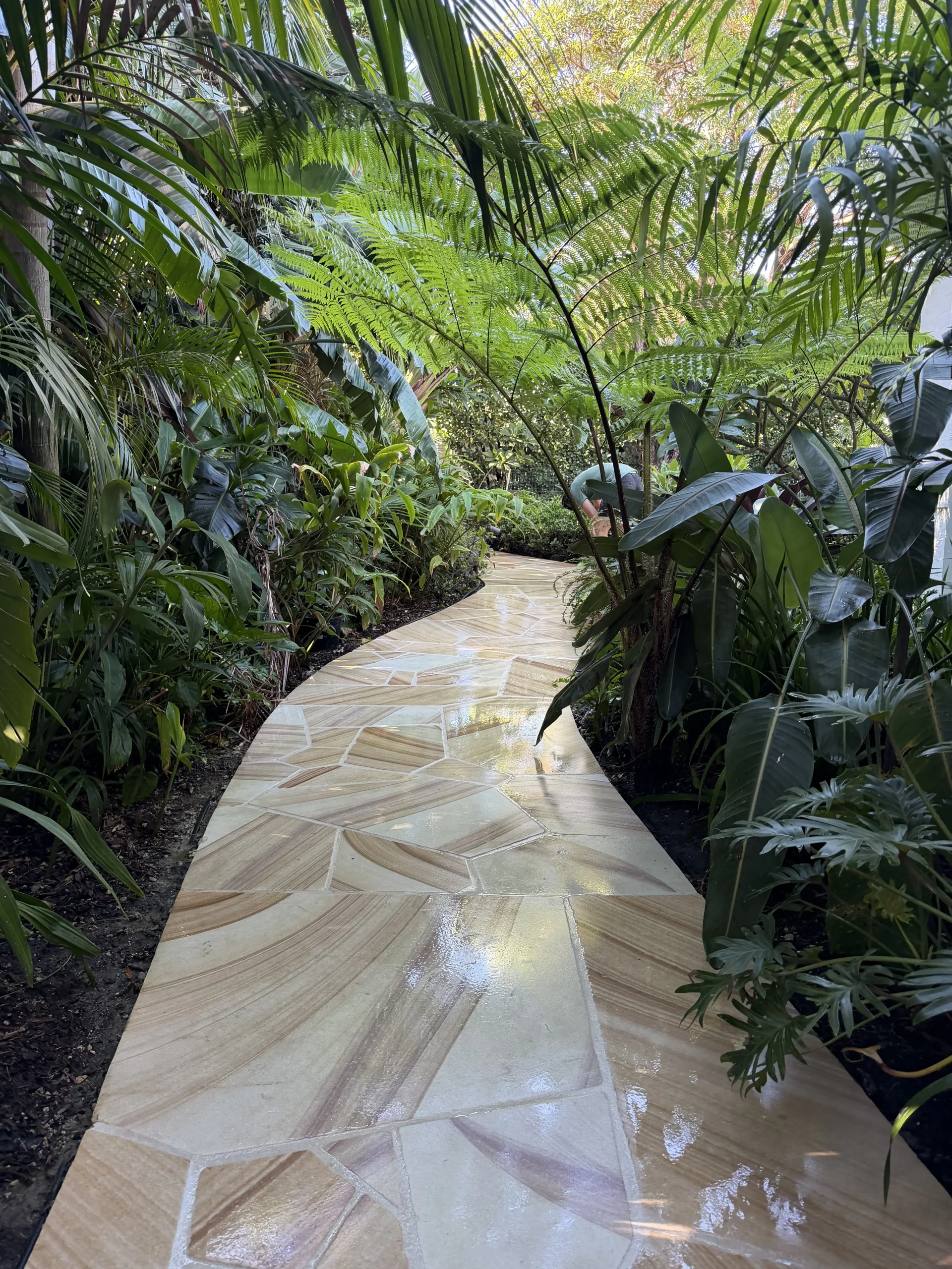 Sandstone crazy paving path winding through a lush tropical garden in Sydney