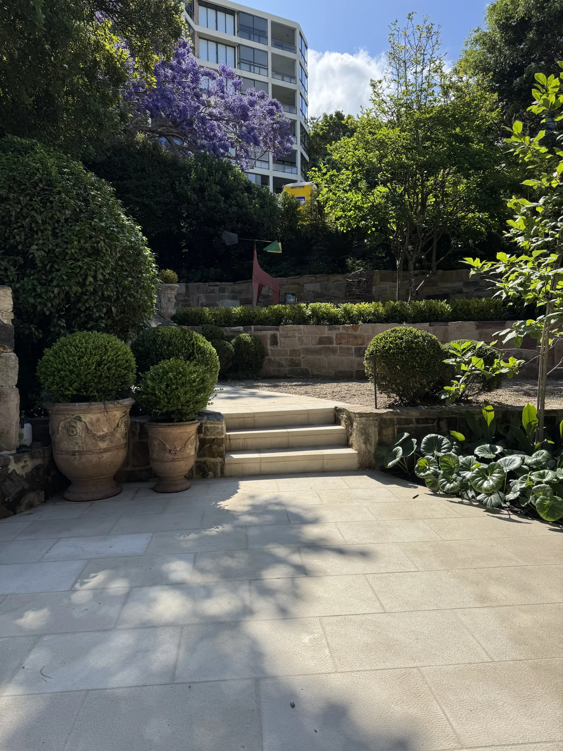 Sandstone garden path beneath a flowering jacaranda tree