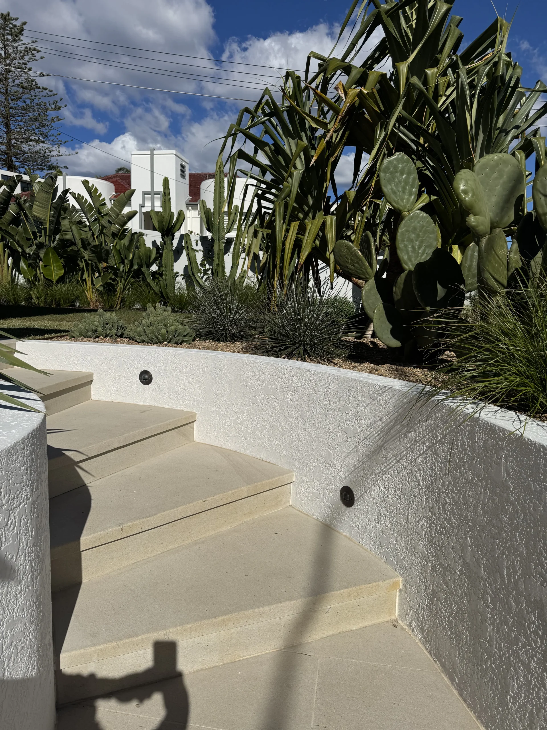 Sandstone steps set among a succulent garden bed